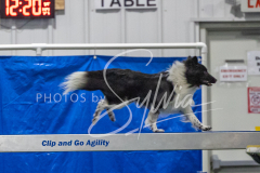 2024-3-10-May-Trial-413