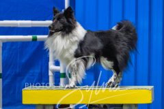 2024-3-10-May-Trial-414