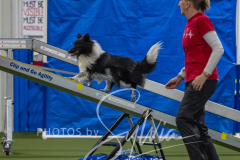 2024-3-10-May-Trial-415