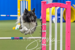 2024-3-10-May-Trial-416