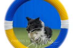 2024-3-10-May-Trial-418