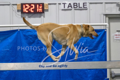 2024-3-10-May-Trial-419