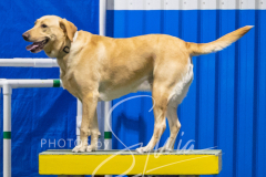 2024-3-10-May-Trial-420