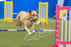 2024-3-10-May-Trial-421