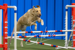 2024-3-10-May-Trial-422