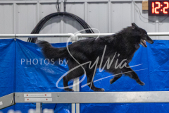 2024-3-10-May-Trial-424