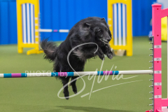 2024-3-10-May-Trial-425