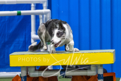 2024-3-10-May-Trial-428