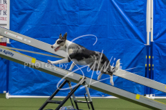 2024-3-10-May-Trial-429