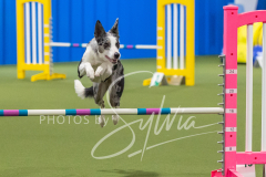 2024-3-10-May-Trial-431