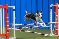 2024-3-10-May-Trial-432