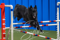 2024-3-10-May-Trial-434