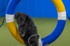 2024-3-10-May-Trial-435