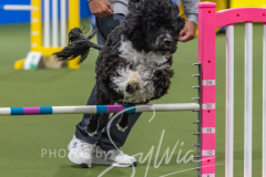 2024-3-10-May-Trial-436