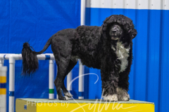 2024-3-10-May-Trial-437