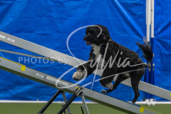 2024-3-10-May-Trial-438