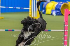 2024-3-10-May-Trial-439