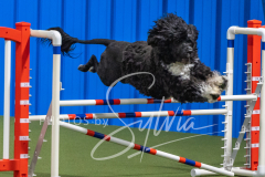 2024-3-10-May-Trial-440