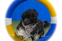 2024-3-10-May-Trial-441