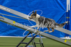 2024-3-10-May-Trial-442