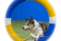 2024-3-10-May-Trial-443