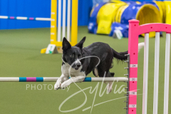 2024-3-10-May-Trial-444