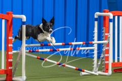 2024-3-10-May-Trial-445