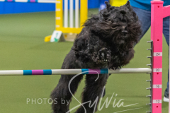 2024-3-10-May-Trial-446