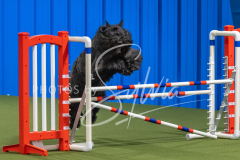 2024-3-10-May-Trial-447