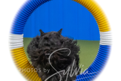 2024-3-10-May-Trial-448