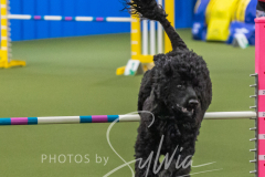 2024-3-10-May-Trial-449