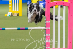 2024-3-10-May-Trial-451