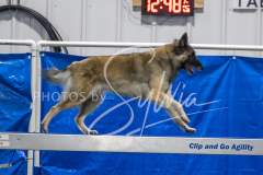 2024-3-10-May-Trial-454