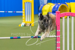 2024-3-10-May-Trial-456