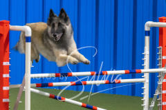 2024-3-10-May-Trial-457