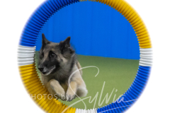 2024-3-10-May-Trial-458