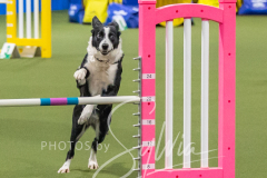 2024-3-10-May-Trial-459