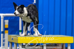 2024-3-10-May-Trial-460