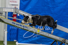 2024-3-10-May-Trial-461