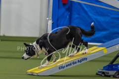 2024-3-10-May-Trial-462