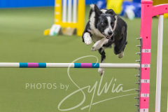 2024-3-10-May-Trial-463