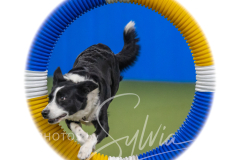 2024-3-10-May-Trial-464