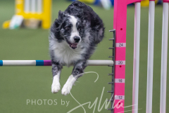 2024-3-10-May-Trial-465