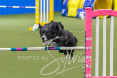 2024-3-10-May-Trial-466