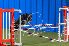 2024-3-10-May-Trial-467