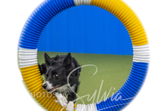 2024-3-10-May-Trial-468