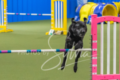 2024-3-10-May-Trial-469