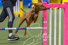 2024-3-10-May-Trial-470