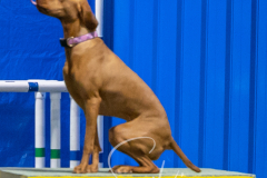 2024-3-10-May-Trial-471