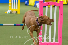 2024-3-10-May-Trial-472